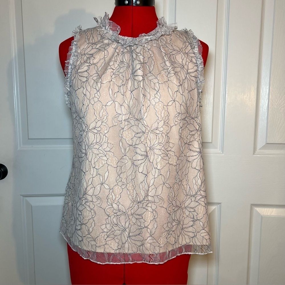 WAYF Gray Floral Lace Sleeveless Tunic Top Nude Lining Women’s Small